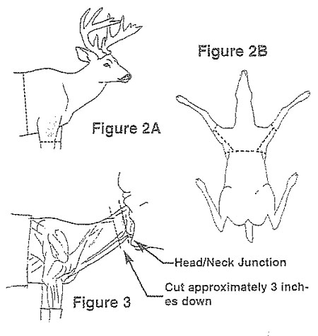 Caping Shoulder Mount Figures